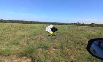 Imagem 3: Área Rural Fazenda Caçapava do Sul 307 Hectares Lavoura e Pecuária