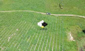 Imagem: Belíssima Fazenda soja pecuária e outros