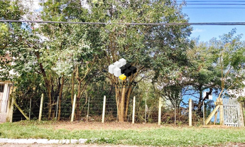Imagem: Terreno à venda Jansen Gravataí/RS