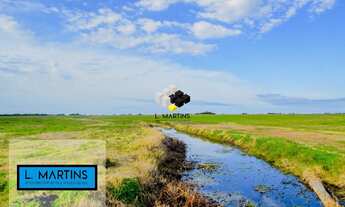 Imagem 7: Área Rural Fazenda em Camaquã RS 852 Hectares Lavoura e pecuária