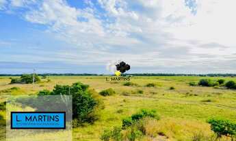 Imagem 3: Área Rural Fazenda em Camaquã RS 852 Hectares Lavoura e pecuária