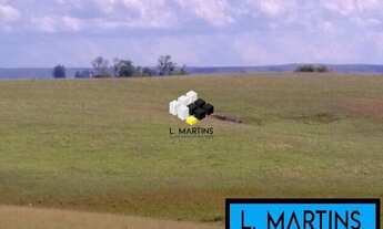 Imagem: Fazenda em Viamão a venda com 85 para