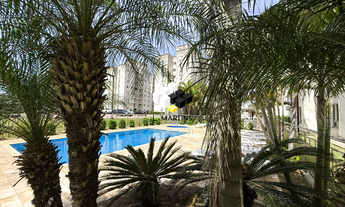 Imagem: Apartamento 3 dormitórios à venda Igara