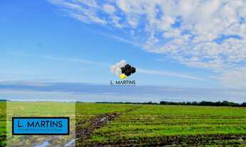 Imagem 2: Área Rural Fazenda em Camaquã RS 852 Hectares Lavoura e pecuária