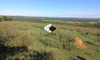Imagem 4: Área Rural Fazenda Caçapava do Sul 307 Hectares Lavoura e Pecuária