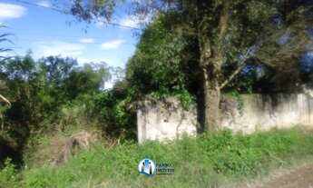 Imagem 3: Terreno 15x50 na figueira