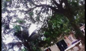 Imagem 3: Casa com quintal e piscina