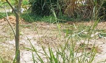 Imagem: Terreno a venda no Capivari