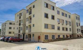 Imagem 6: Figueira Jardim Primavera Duque de Caxias