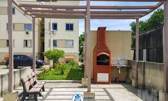 Imagem 4: Figueira Jardim Primavera Duque de Caxias