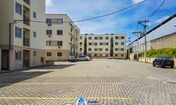 Imagem 2: Figueira Jardim Primavera Duque de Caxias