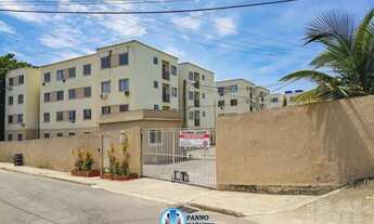 Imagem 3: Figueira Jardim Primavera Duque de Caxias