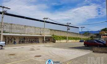 Imagem 7: Figueira Jardim Primavera Duque de Caxias