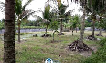 Imagem: Terreno juntos ou separados