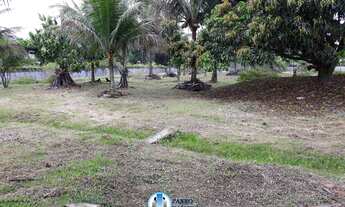 Imagem 4: Terreno juntos ou separados