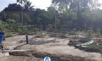 Imagem 3: Casa com Quintal