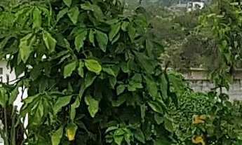 Imagem: Chácara Rio Petropolis Duque de Caxias