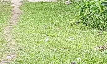 Imagem: Sitio Capivari, 2 dormitórios na Avenida