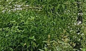 Imagem: Chácara Rio Petrópolis Duque de