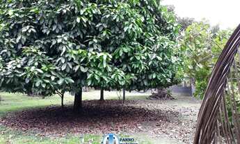 Imagem: Terreno juntos ou separados