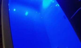 Imagem 7: Casa a venda com quintal em Chácara Rio Petrópolis