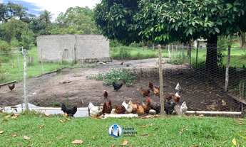 Imagem 6: Ótimo sítio em Guapimirim