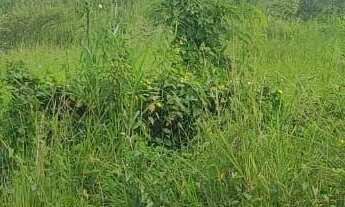 Imagem 2: Terreno a venda próximo a estrada são lourenço