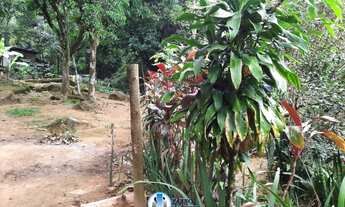 Imagem 5: Sítio em Xerém