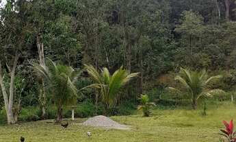 Imagem: Área rural de 2000 m² com uma casa