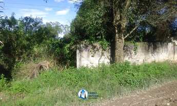 Imagem: Terreno 15x50 na figueira