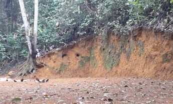 Imagem 7: Sítio em Xerém