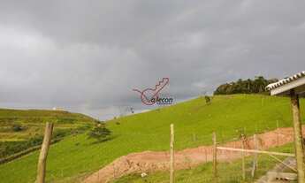 Imagem: Ótimo terreno a venda - Jambeiro