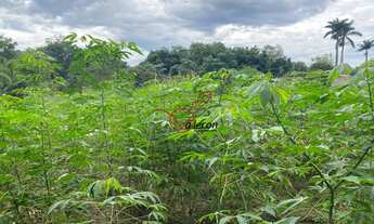 Imagem 6: Grande Área para Empreendimentos Imobiliários ou Chácara em Avenida - 8250 m²