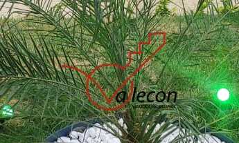 Imagem 4: Maravilhosa Casa com 4 Dormitórios e Piscina - Condomínio Vereda dos Campos