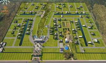 Imagem 5: Pulse Resort Experience