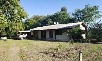 Imagem: Chácara 7,5 ha Rincão dos Oliveiras- 15