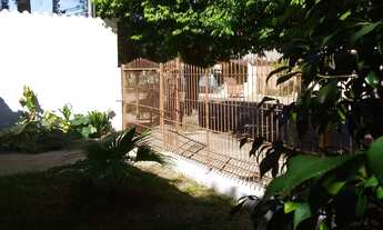 Imagem 2: TERRENO NO BAIRRO SANTO INÁCIO À VENDA - Imobiliária de Santa Cruz do Sul