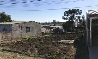 Imagem 4: Imóveis em Santa Cruz do Sul