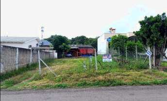 Imagem 3: Terreno Bairro São João