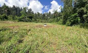 Imagem: Imobiliária em Santa Cruz do Sul