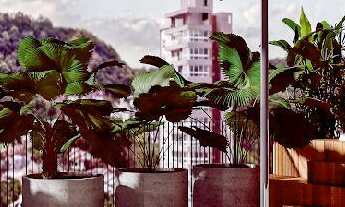 Imagem 2: APARTAMENTO CENTRAL EM SANTA CRUZ DO SUL