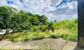 Imagem: TERRENO AMPLO SANTA CRUZ DO SUL