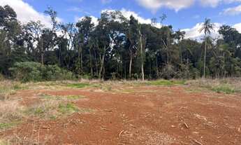 Imagem 2: Amplo terreno na João Alves!