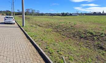 Imagem 2: Lote a venda em Linha Santa Cruz!