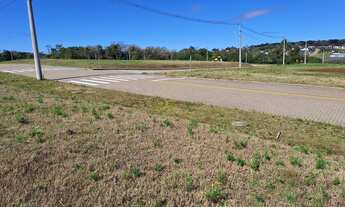 Imagem 3: Lote a venda em Linha Santa Cruz!