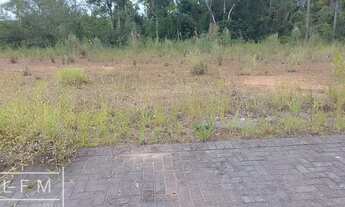 Imagem 2: Terreno pronto para construir