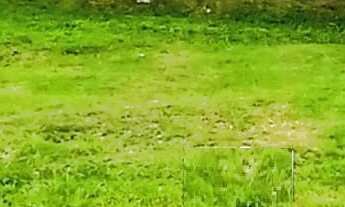 Imagem: Terreno em condomínio fechado em Balneário