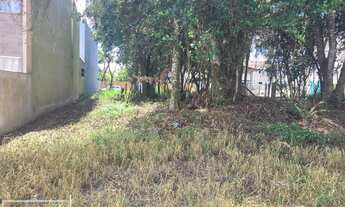 Imagem 5: Terreno pronto para construir em picarras