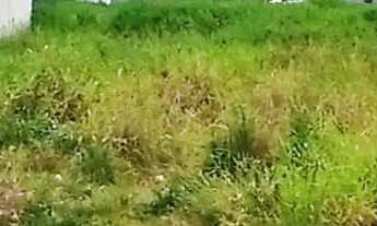 Imagem: Terreno pronto para construir em Balneário