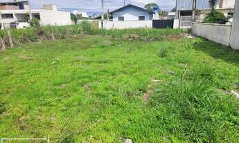 Imagem: Terreno em rua calcada